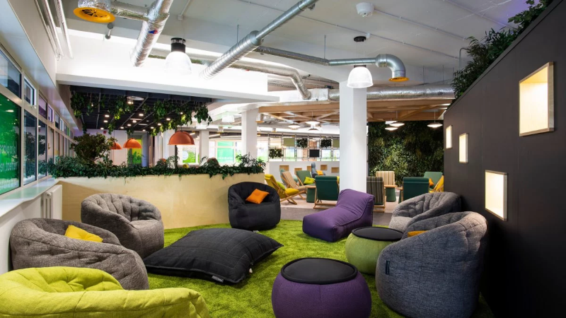 Stag ill relax area